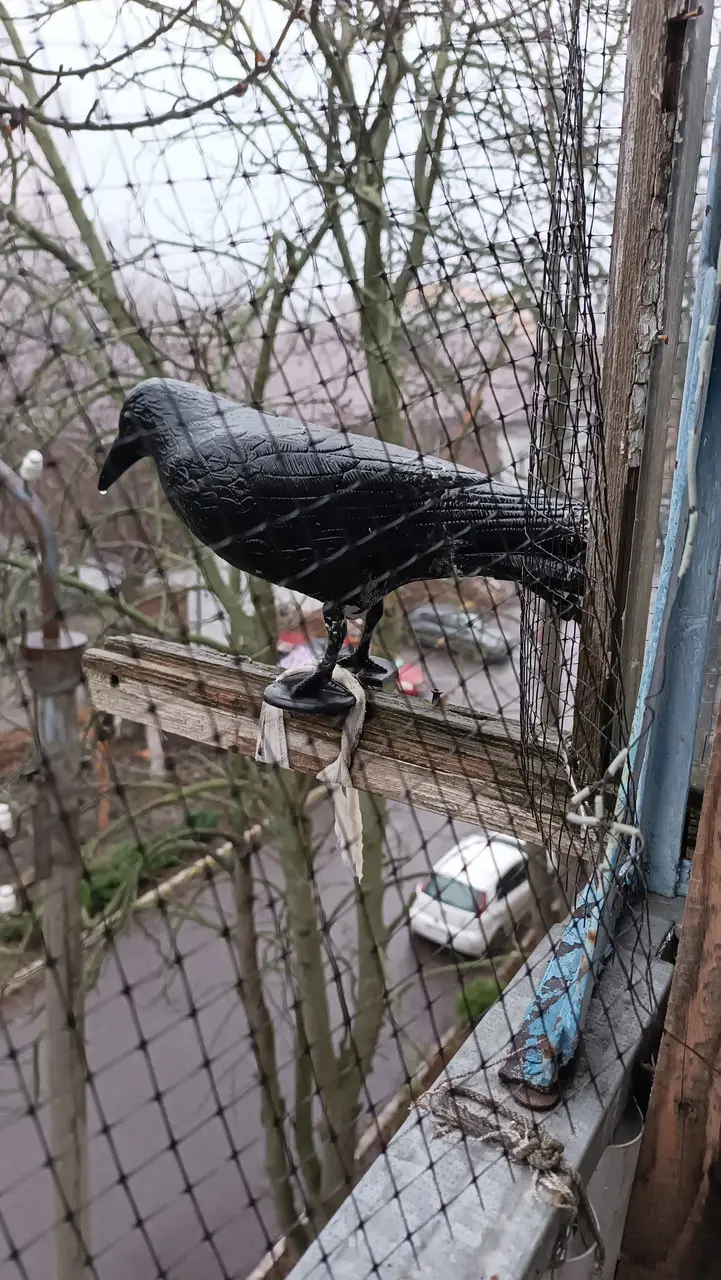 Товар